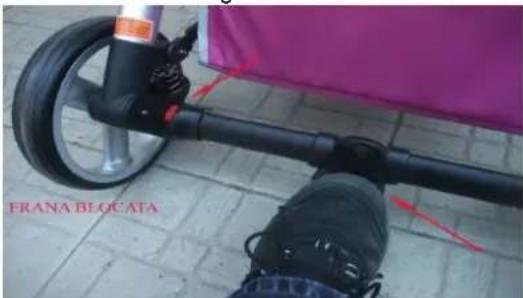 FRANA BLOC ATA