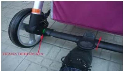 FRANA DE BLOCATA