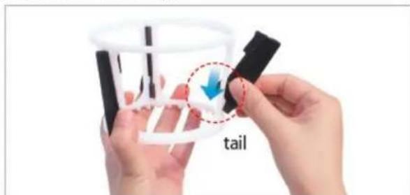 tail