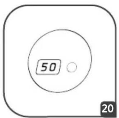 50 20