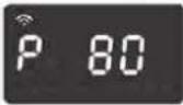 Platinium 25DGS2 - Nivel Putere - 2