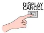 PANASONIC TX-W32D2DP - Hold - 1