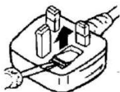 PANASONIC MC-E563K - How to replace the Fuse: - 1
