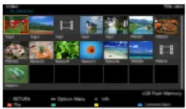 PANASONIC Viera TX-55DXR600 - Informații - 1