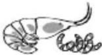 MOULINEX Super Uno AM302127 - 2 - 65