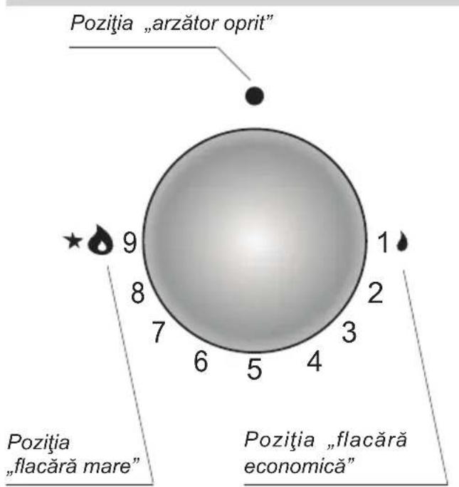 Hansa BHGI330108 - Butonul de comandă a funcționării arză- toarelor „Zs” - 1