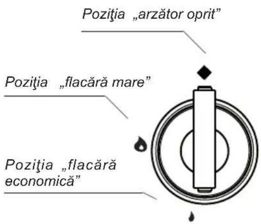 Hansa BHGA610791 - Butonul de comandă a funcționării arză- toarelor - 1
