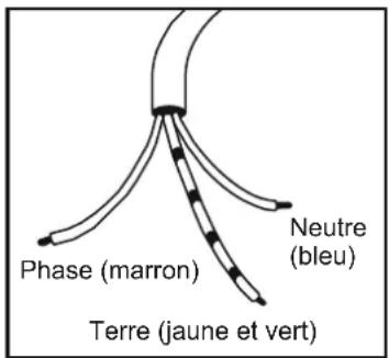 Phase (marron) Terre (jaune et vert) Neutre (bleu)