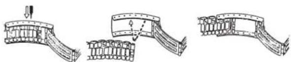 TIMEX Allied TW2T76100VQ - BRACELET À FERMOIR COULISSANT - 2