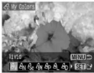 My Colors VIVIO MENU EN Sc BN Ap BL AD SET