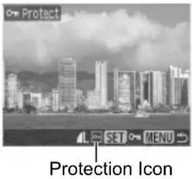Protect Protection Icon
