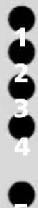 MITSUBISHI Trium Galaxy - PIN code - 4