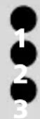 MITSUBISHI Trium Galaxy - Fixed dialling numbers (FDN) - 3