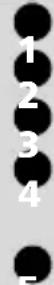 MITSUBISHI Trium Cosmo - Ring tone selection - 1