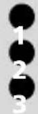 MITSUBISHI Trium Cosmo - To view diary entries - 1