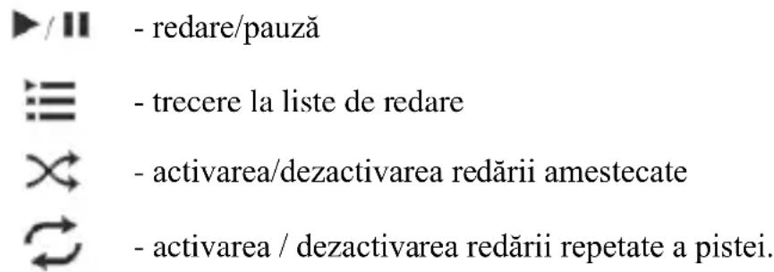 - redare/pauză - trecere la liste de redare - activarea/dezactivarea redării amestecate - activarea / dezactivarea redării repetate a pistei.