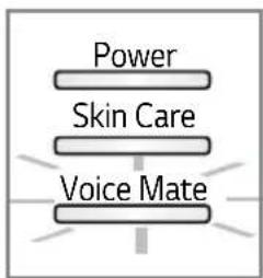Power Skin Care Voice Mate