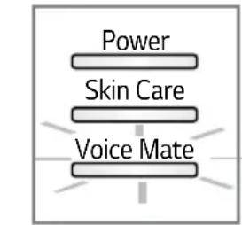Power Skin Care Voice Mate