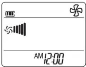 AM 12:00