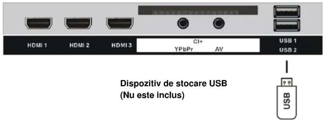 HDMI 1 HDMI 2 HDMI 3 CI+ YPbPr AV USB 1 USB 2 Dispozitiv de stocare USB (Nu este inclus) USB