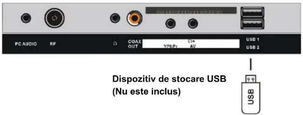 PC AUDIO RF COAX CI+ OUT YDPI AV USB 1 USB 2 Dispositiv de stocare USB (Nu este inclus) USB