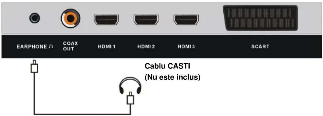 EARPHONE Ω COAX OUT HDMI 1 HDMI 2 HDMI 3 SCART Cablu CASTI (Nu este inclus)