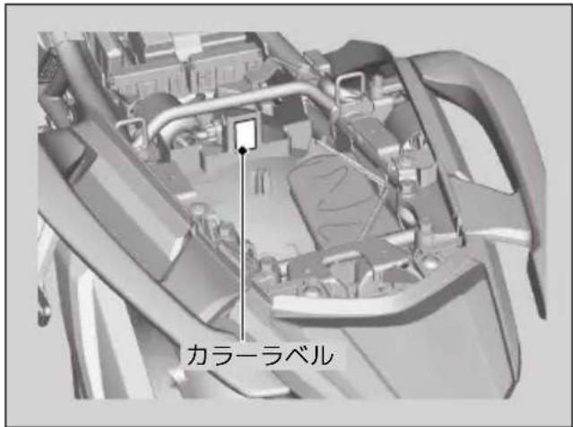 カラーラベル
