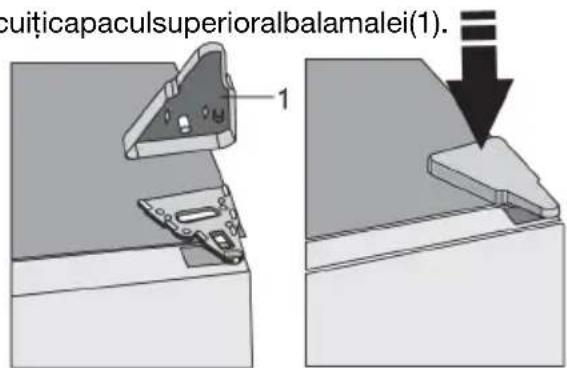 cuiticapaculsuperioralbalamalei(1).