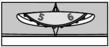 5 6