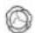 LIEBHERR IXRFW 5174 - Fruit & Vegetable-Safe - 3