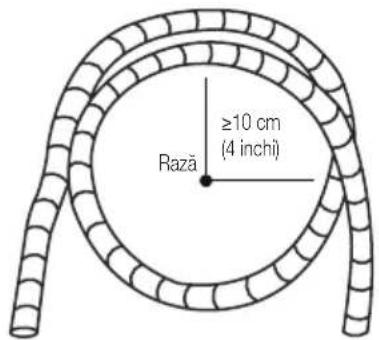 ≥10 cm (4 inchî) Rază
