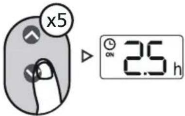 x5 2.5 h