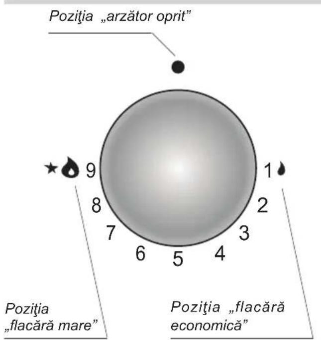 Hansa BHGI630301 - Butonul de comandă a funcționării arză-toarelor „Zs” - 1