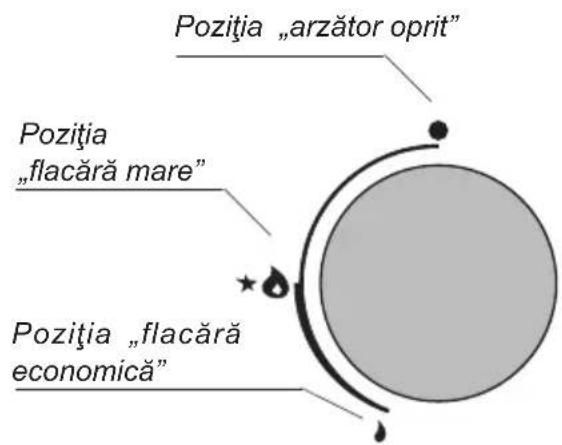 Hansa BHGS611839 - Butonul de comandă a funcționării arză- toarelor „Zt” - 1