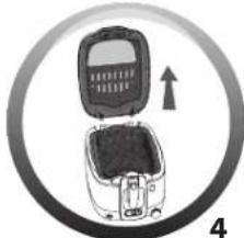 Illustration of a food processor with an upward arrow indicating growth (no text or symbols present)