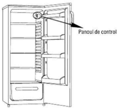 Panoul de control