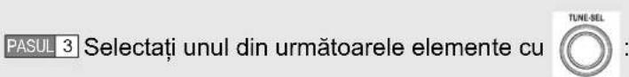 PASUL 3 Selectați unul din următoarele elemente cu TUNE-SEL :