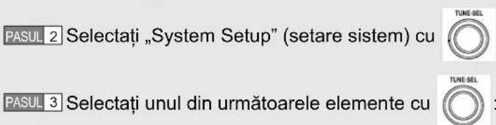PASUL 2 Selectați „System Setup" (setare sistem) cu PASUL 3 Selectați unul din următoarele elemente cu