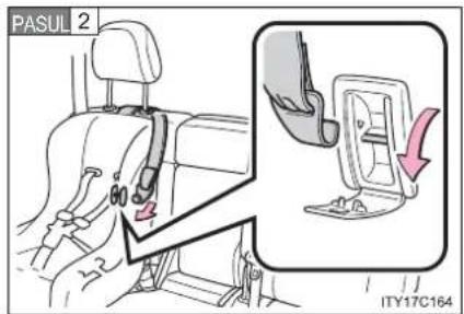 PASUL 2 80 ITY17C164