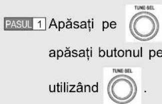 PASUL 1 Apăsați pe apăsați butonul pe utilizând