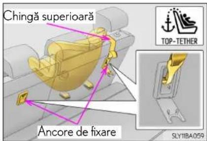 Chingă superioară Ancore de fixare TOP-TETHER SLY11BA059