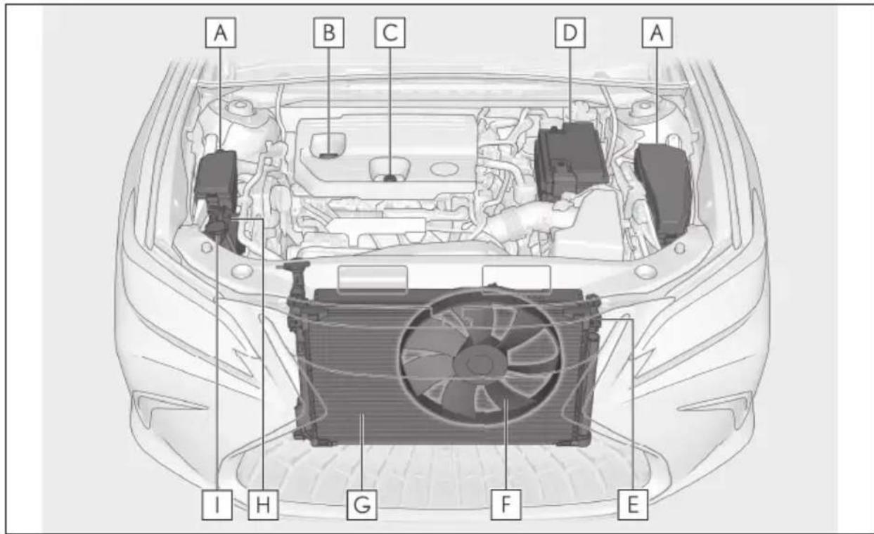 LEXUS ES 200 (2022) - Pozitionareaunuicricde podea - 2