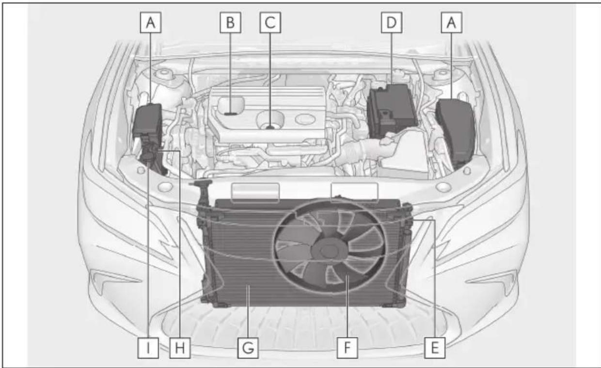 LEXUS ES 200 (2022) - Pozitionareaunuicricde podea - 3