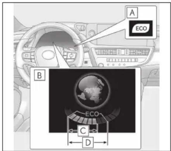 A ECO B ECO C D