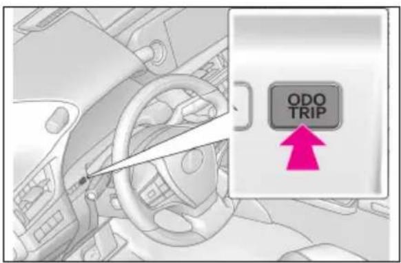 ODO TRIP