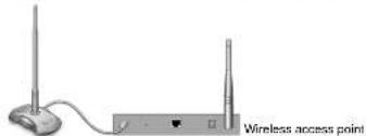 Wireless access point