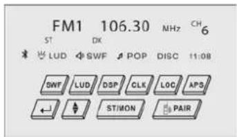 FM1 106.30 NHZ CH ST DX 6 LUD SWF POP DISC 11:08 SWF LUD DSP CLK LOC APS ← ↓ ST/MON PAIR