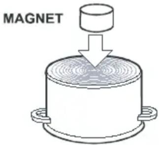 MAGNET