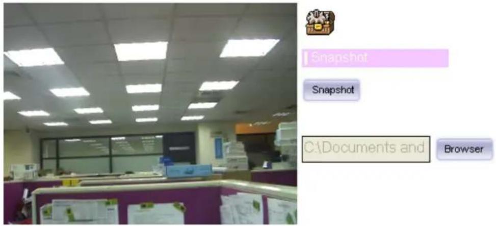 Snapshot Snapshot C:\Documents and Browser