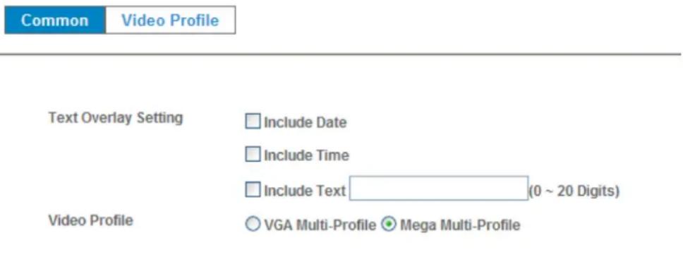 Common Video Profile Text Overlay Setting Include Date Include Time Include Text (0 ~ 20 Digits) Video Profile VGA Multi-Profile Mega Multi-Profile